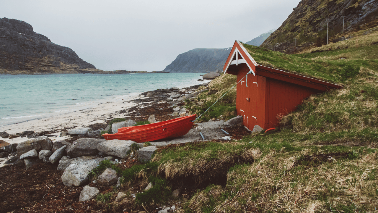 Get Ready to Glow: 9 Sea Moss Gummies You Gotta Try!